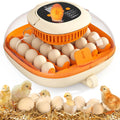 Automatic 25 Egg Incubator for Hatching Chicks
